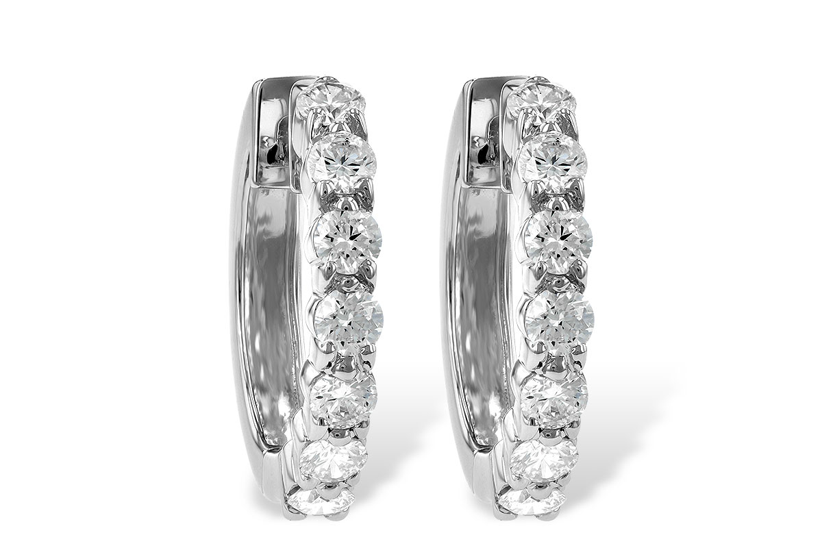 A010-21741: EARRINGS 1.00 CT TW