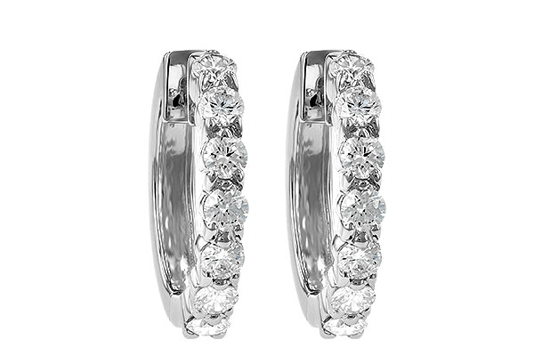 A010-21741: EARRINGS 1.00 CT TW