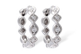 H010-19004: EARRINGS .22 TW